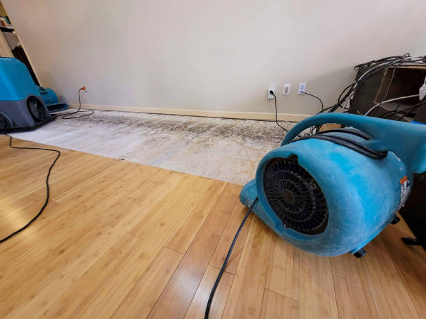 Professional Structural Drying technician working in Bigfoot, TX